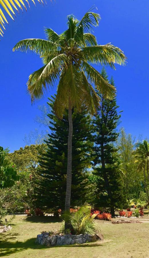 Poponi Cottage Cottage North Palmetto Point Exteriör bild